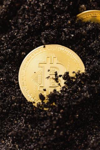 比特币交易最新动态